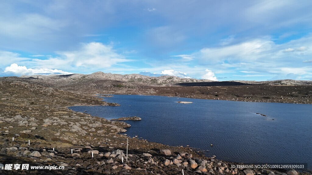 宁静湖边的开阔自然景致
