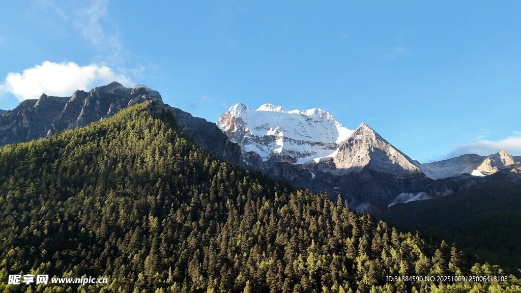 壮丽山峦间的翠绿森林