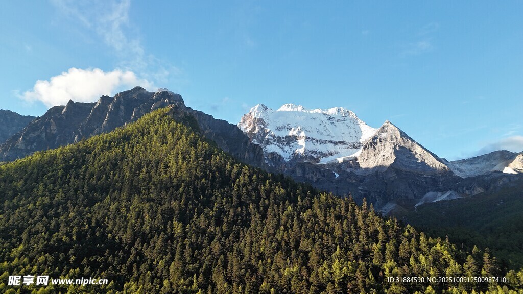 高山森林壮丽自然景观