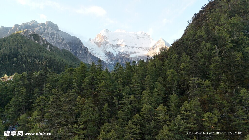 山间林海与远处雪山美景