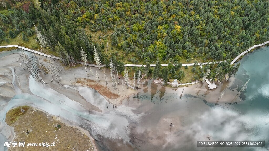 山间瀑布旁的翠绿景致