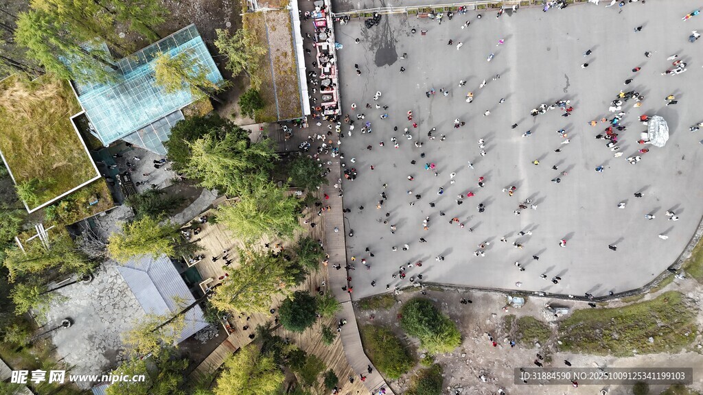 俯瞰城市绿植与建筑景观