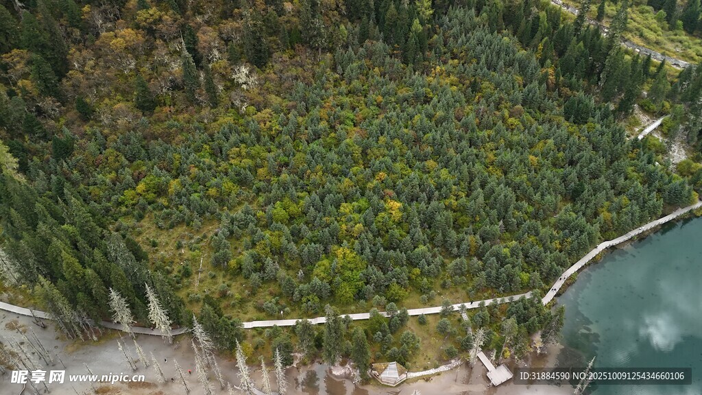 俯瞰葱郁山林与水域