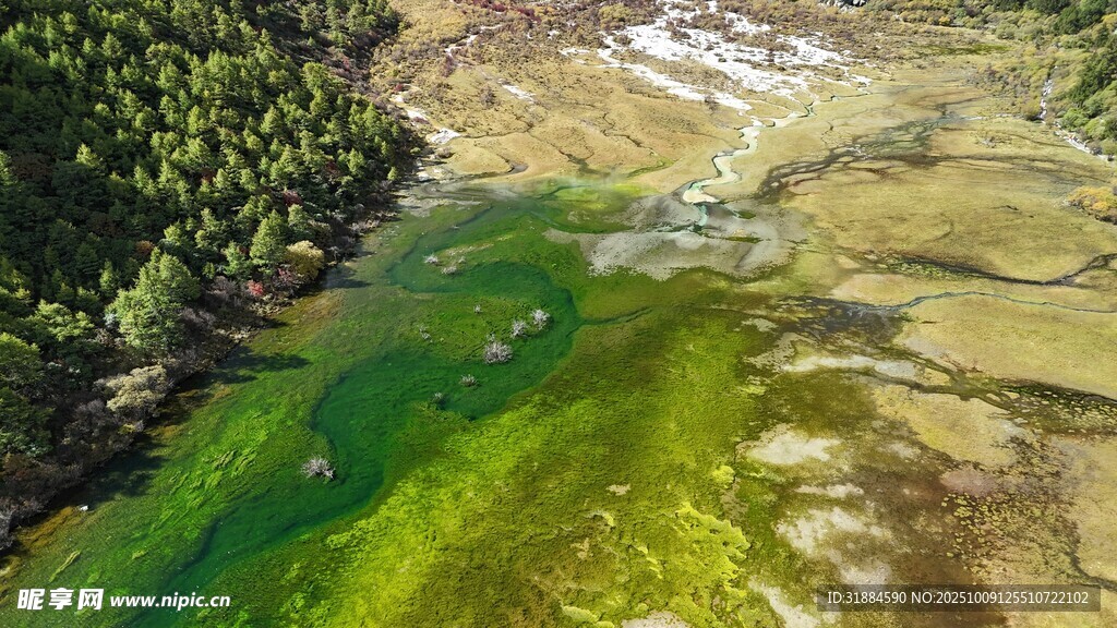 俯瞰翠绿山谷与蜿蜒溪流