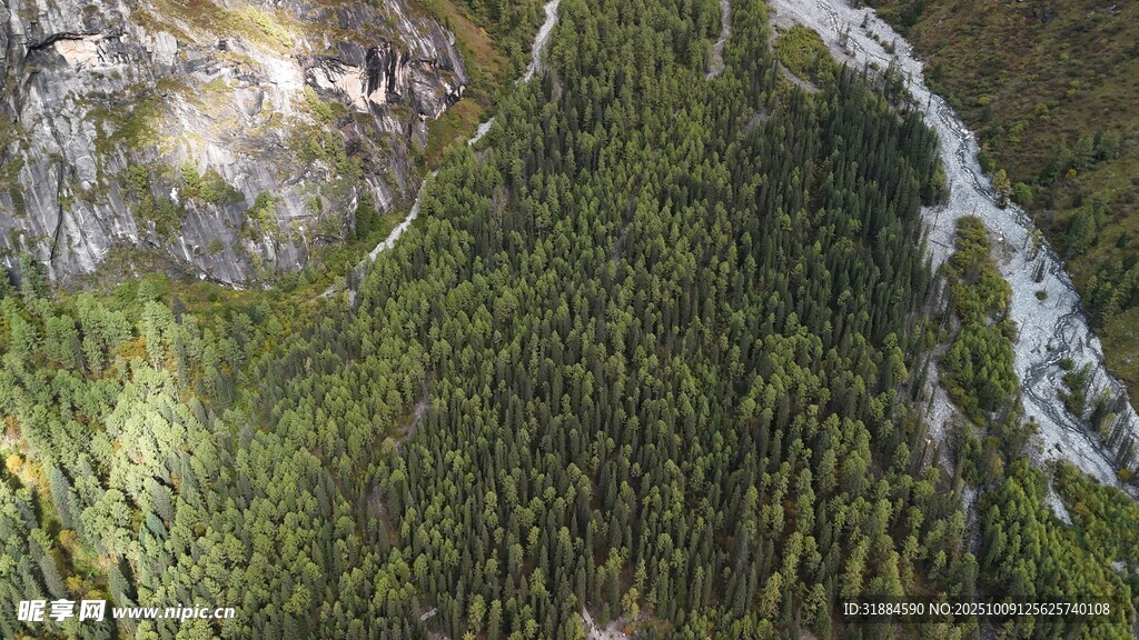 俯瞰葱郁山林与蜿蜒溪流