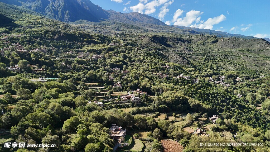 俯瞰葱郁山林景观