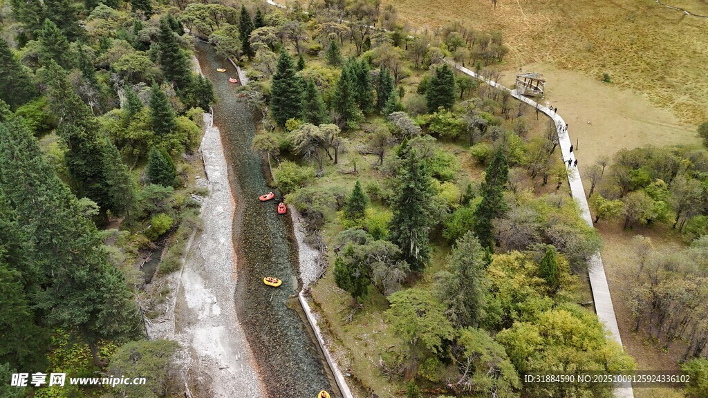 空中俯瞰蜿蜒于林间的道路