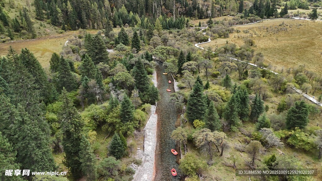 林间公路穿行于葱郁森林