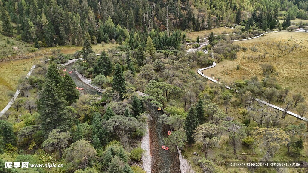 俯瞰山林中的蜿蜒道路