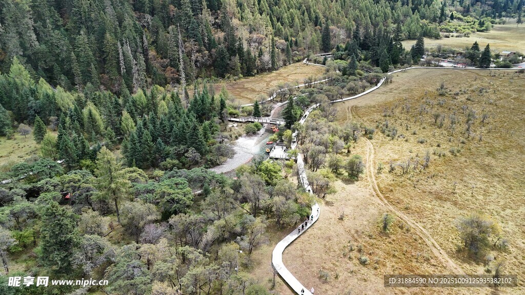 山间蜿蜒小路与葱郁植被