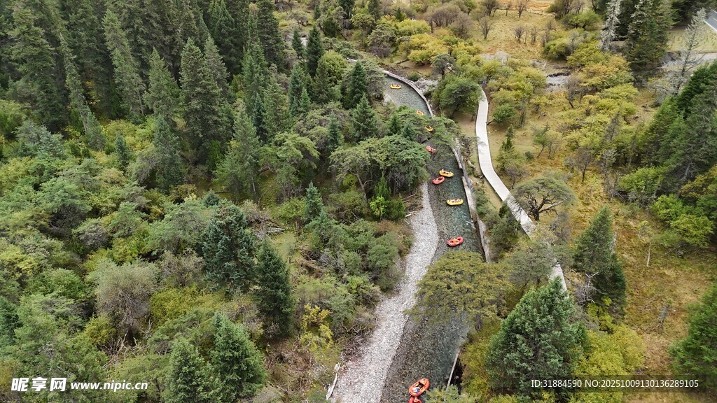 山间蜿蜒公路穿行于森林