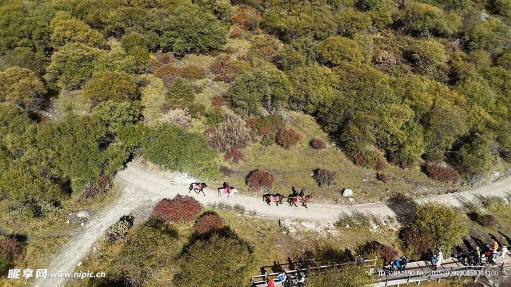山间蜿蜒步道游人漫步
