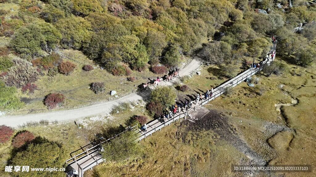 俯瞰山间蜿蜒道路景观