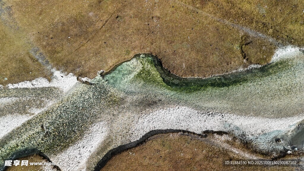 海岸边的绿色植被与浪花