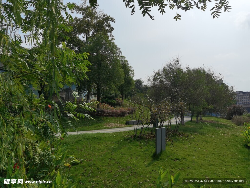 绿意盎然的户外小径景观