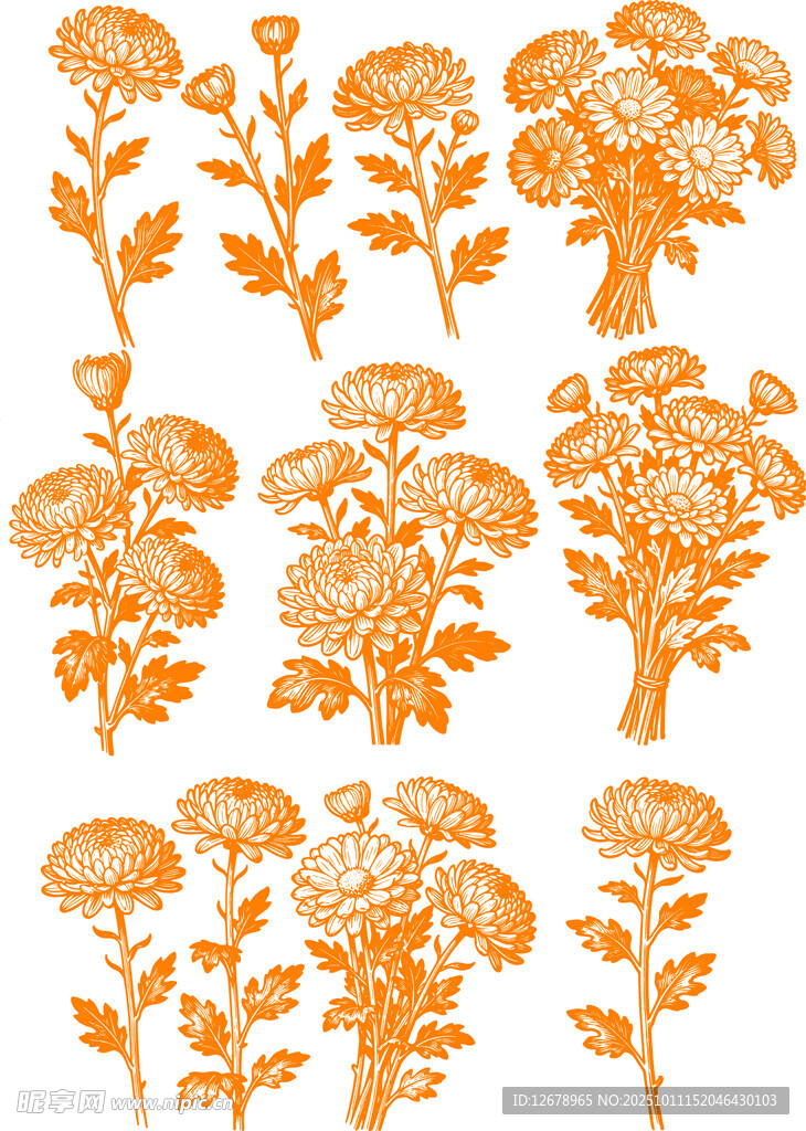 橙色菊花花卉图案设计素材