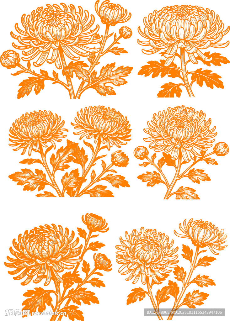 橙色菊花花卉图案设计
