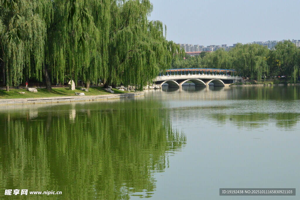 公园风景  