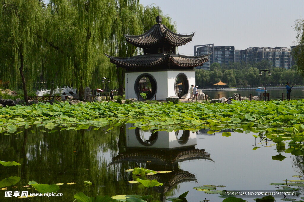 公园风景 