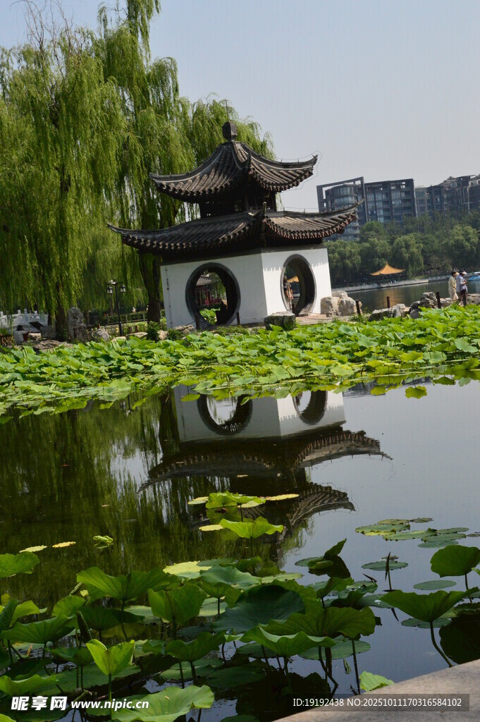 公园风景  