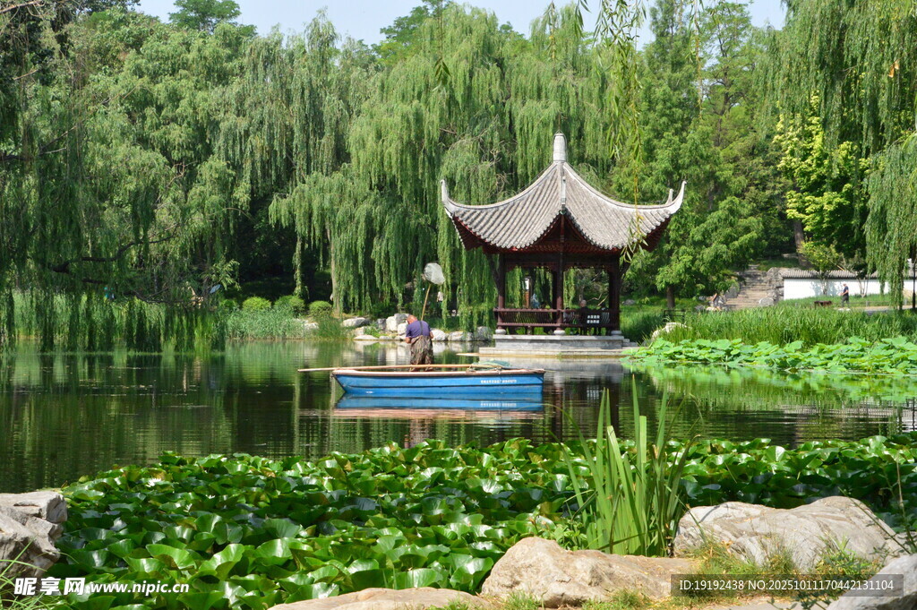 公园风景 