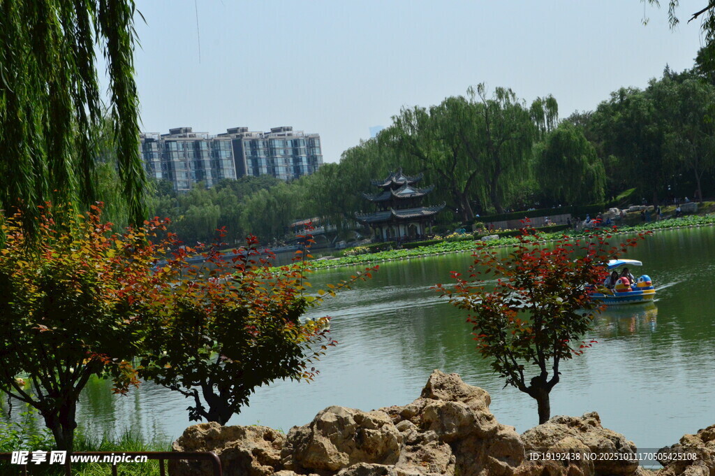公园风景  