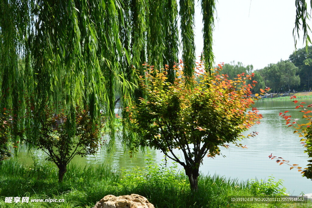 公园风景 