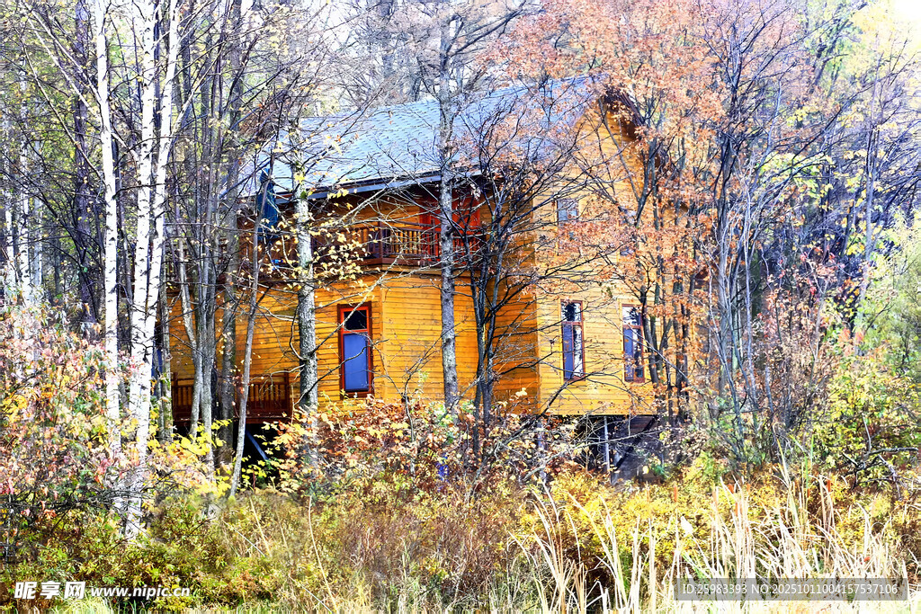 树林木屋