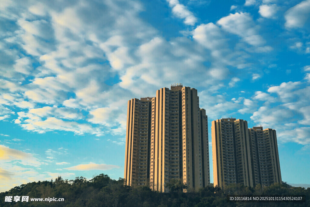 城市高楼