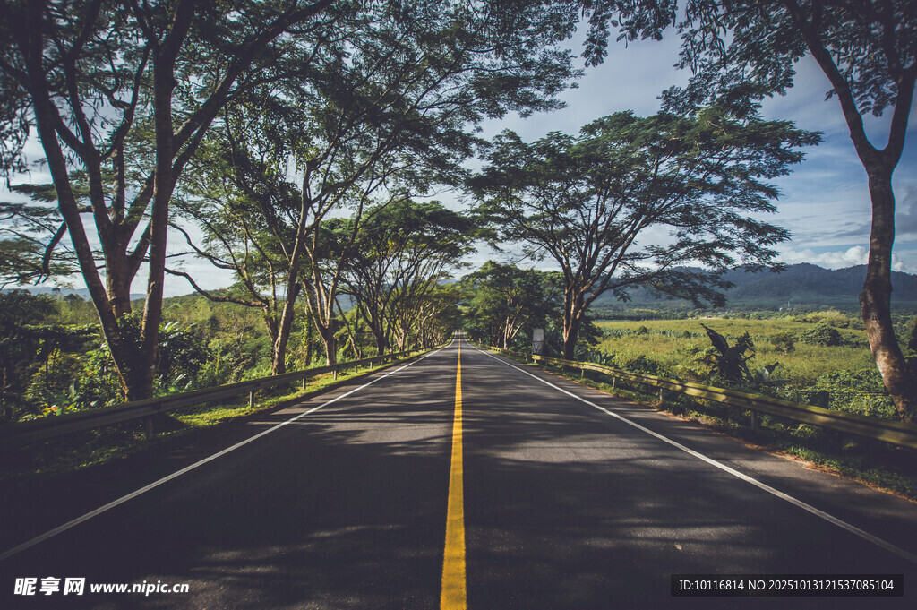 林间公路