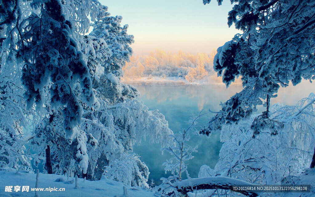 冬日雪山林