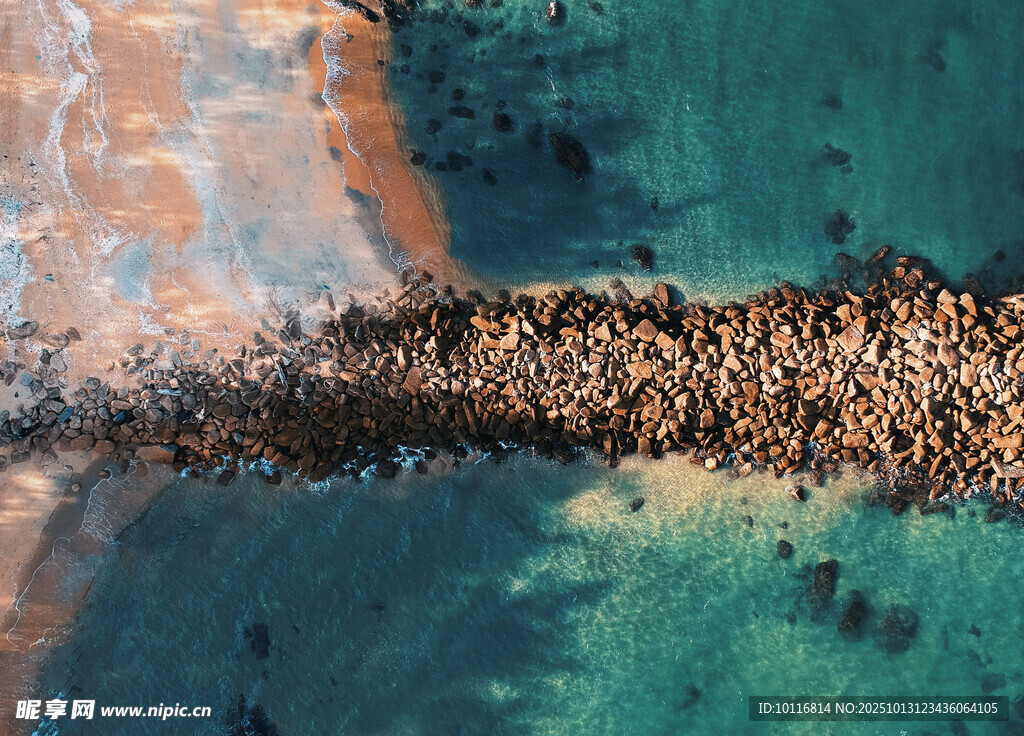 海岸
