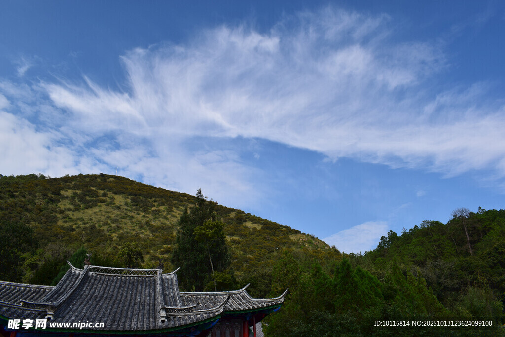 蓝天绿树