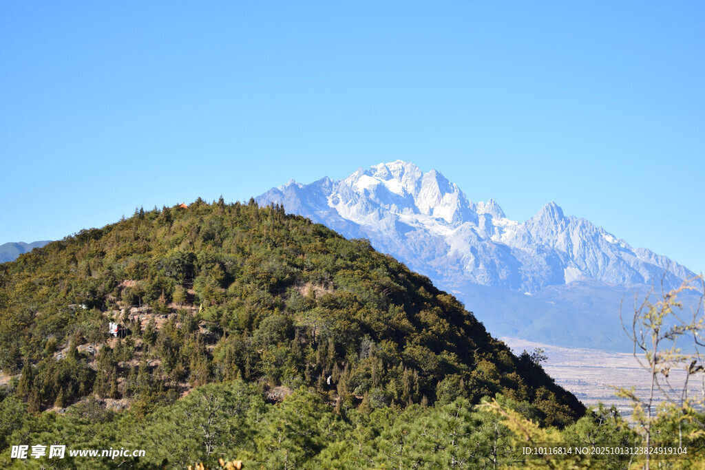 青山