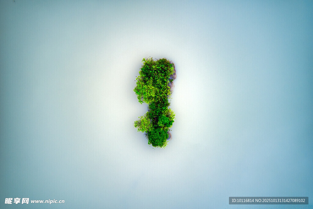 海岛
