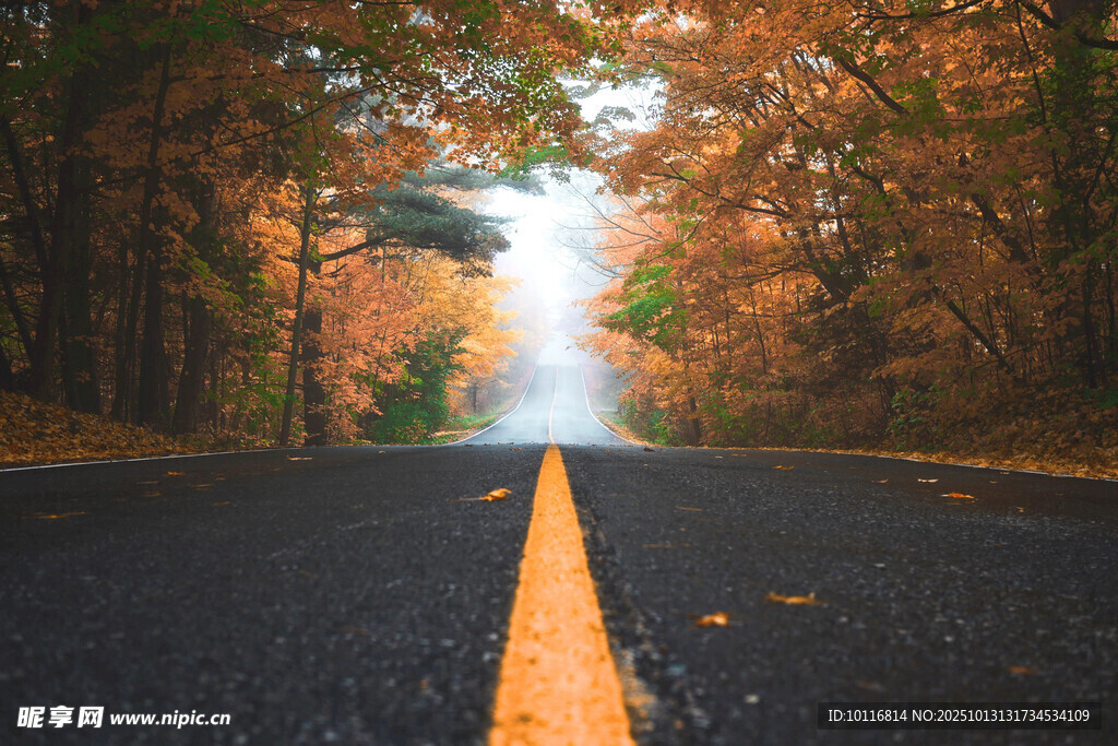 秋日公路
