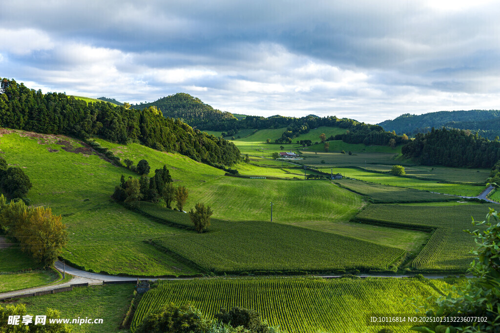 田园风光美景