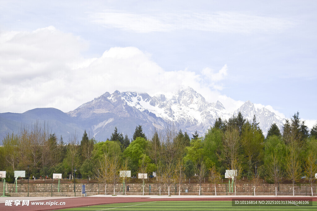 雪山树林