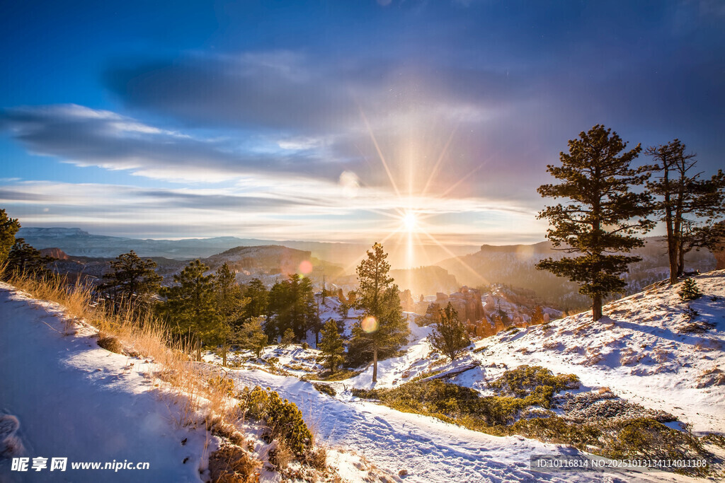 冬日雪景