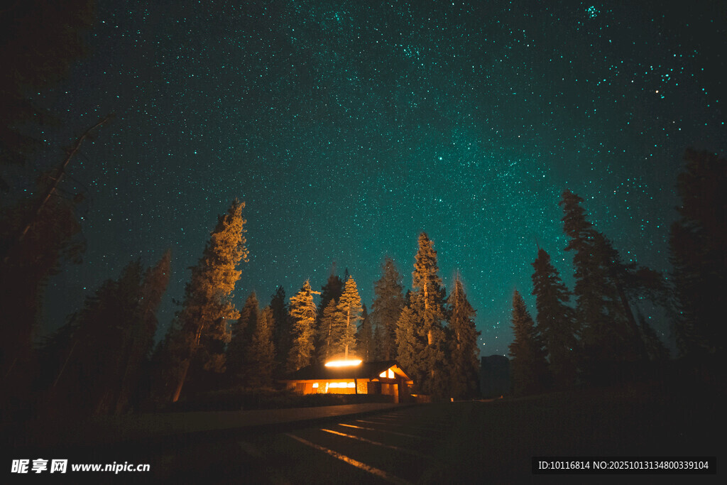 森林星空