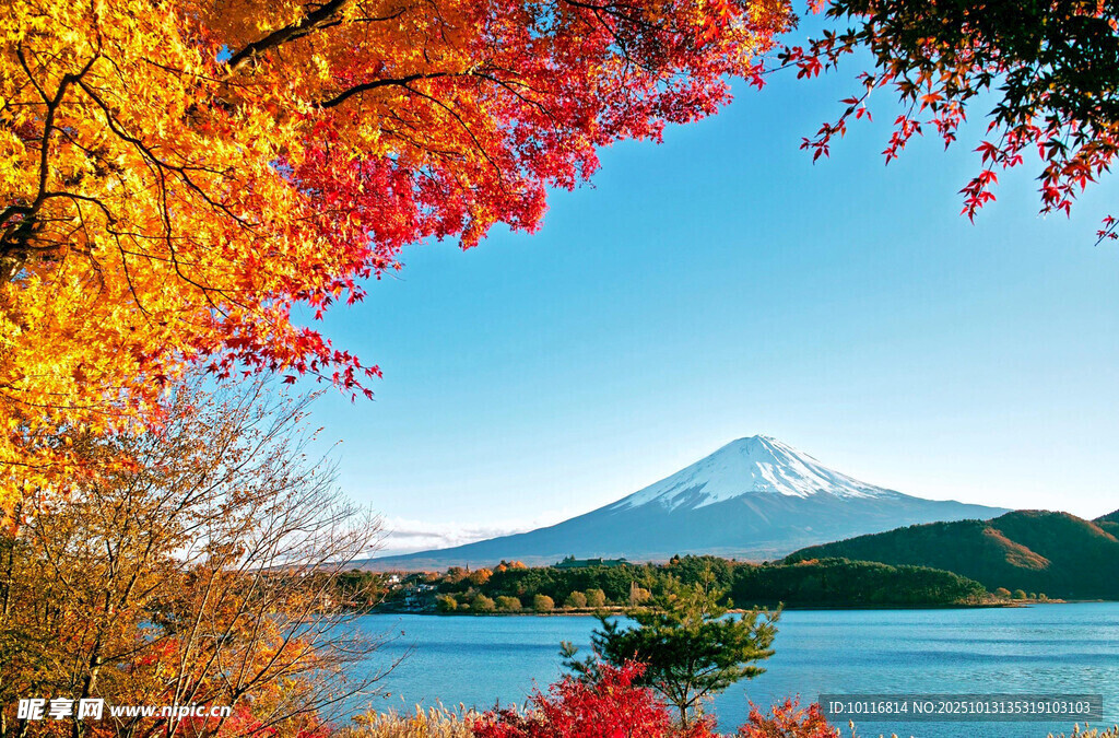 湖畔美景