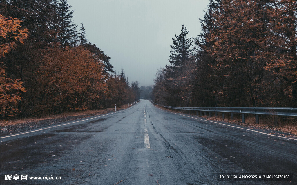 秋日公路美景
