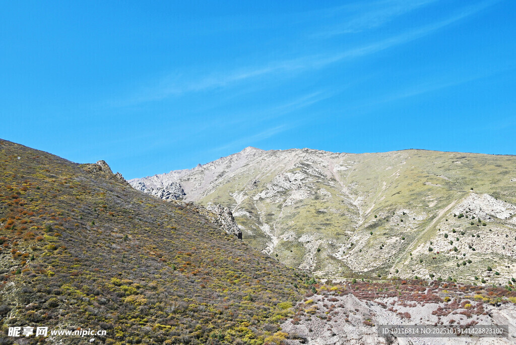 青山