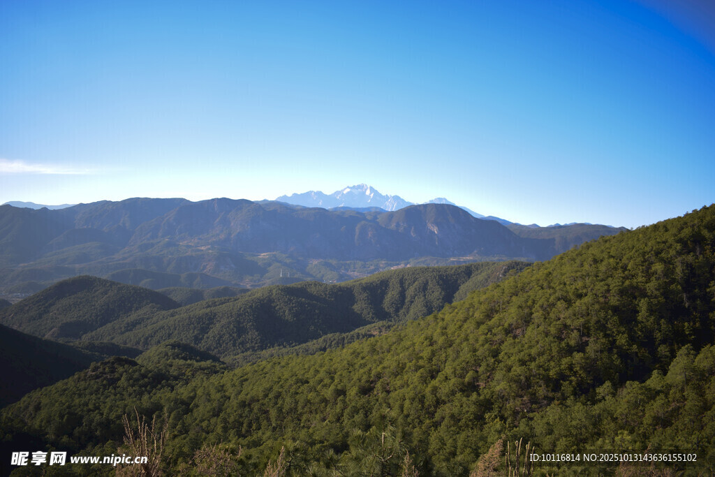青山