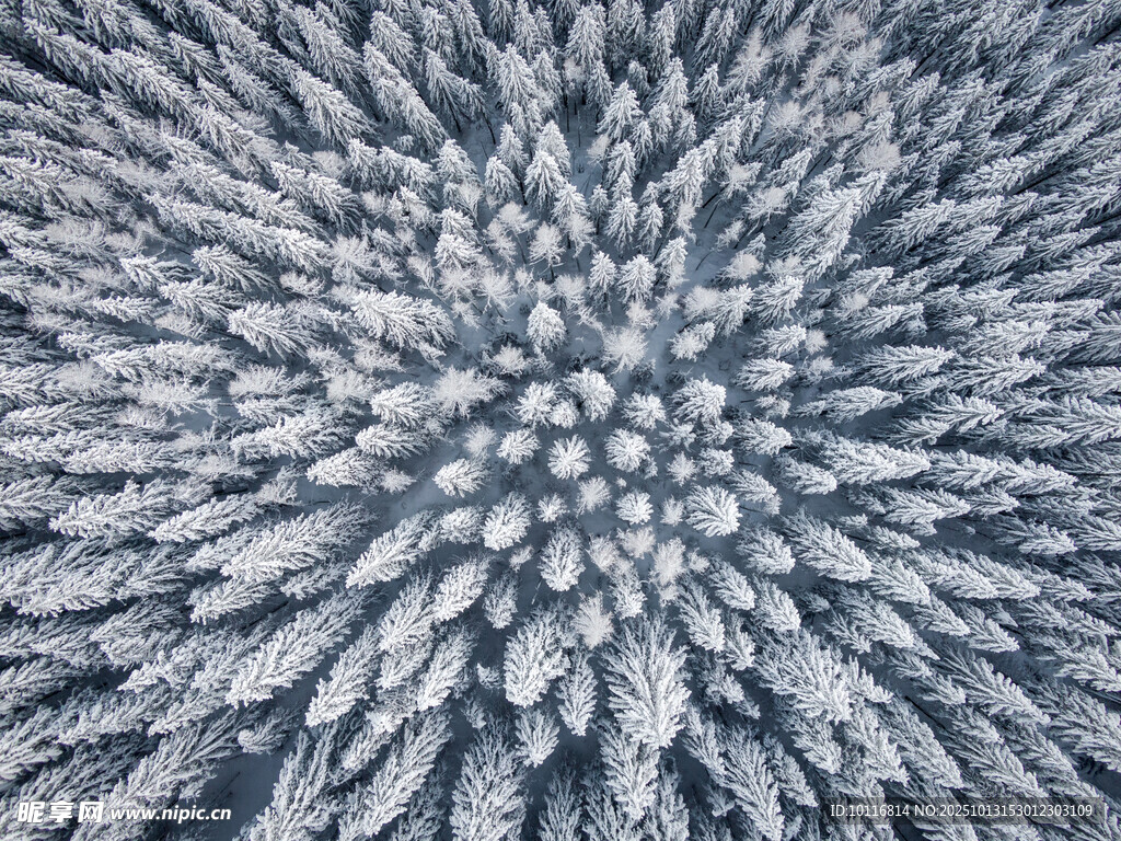 雪景