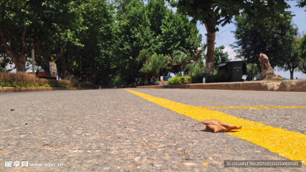 道路