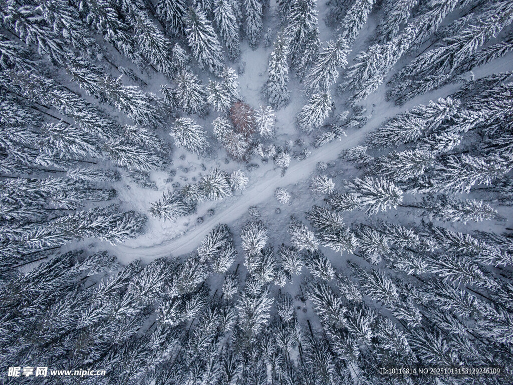 雪景