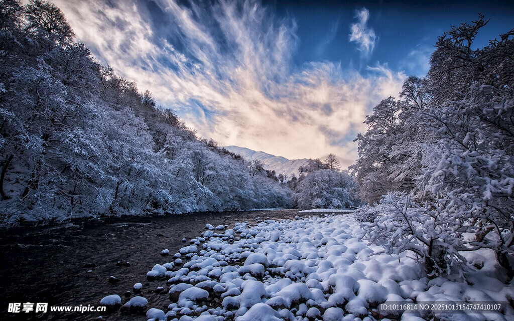 雪景