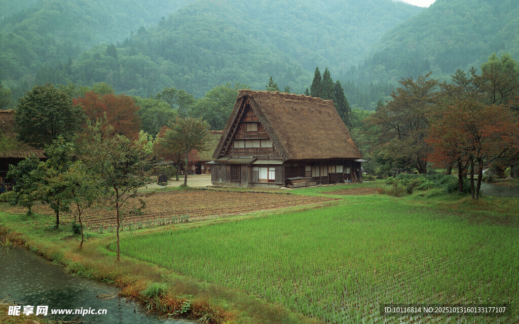 乡村风景