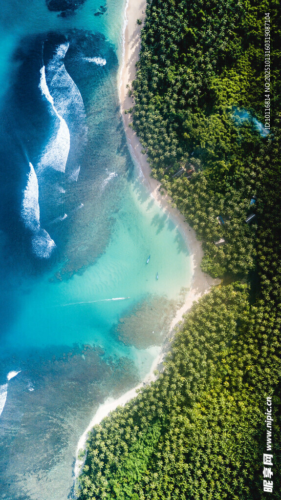 海岸